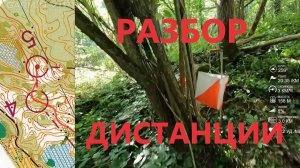 Спортивное ориентирование (headcam orienteering) - Кубок Беларуси среди клубов, лонг - 20.08.2022