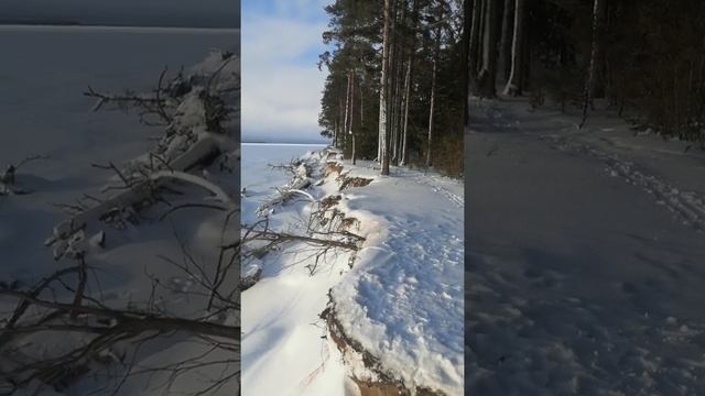 вологодские красоты смотреть онлайн