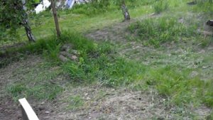 Выбор места для пасеки и привоя (начинающим пчеловодам)