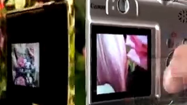 Canon PowerShot A550 7.1 MP Digital Camera смотреть онлайн