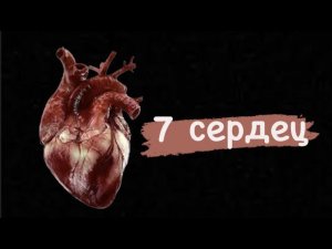 ВЫБЕРИ СЕБЕ СЕРДЦЕ! обзор коллекции ароматов ♥️Map Of the Heart