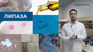 Применение энзимов в товарах бытовой химии