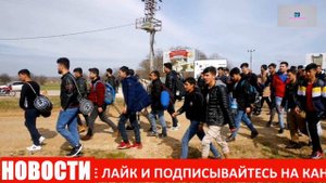 #МИГРАНТЫ#РОССИЯ# СРОЧНОЕ НОВОСТИ КАЗАХСТАН ОТКРИЛ ГРАНИЦУ МЕЖУ УЗБЕКИСТАН И РОССИИ И ТАДЖИКИСТАНОМ