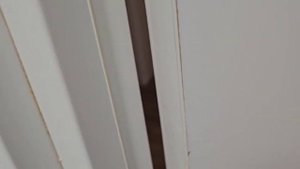 Приемка квартиры с отделкой в ЖК Томилино парк от застройщика Самолет