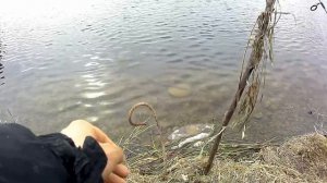 ловля карася на пенопласт и таблетку  шипучку ранней весной