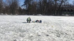 12.04.18 Савельево Ольгово крупняк клюёт по льду