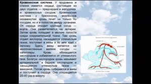 Класс Брюхоногие моллюски. Биология 7 класс