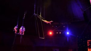 The Flying Cranes (Firebirds) Воздушный полет Журавли (Жар-Птицы) Flying Trapeze. Professional Vers