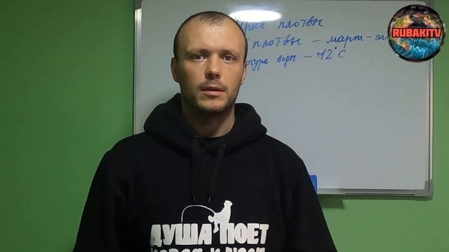 Когда НЕРЕСТ ПЛОТВЫ? Не пропустите ЖОР! смотреть онлайн