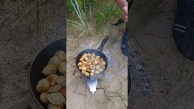 Турбо печка походная с АЛИЭКСПРЕСС работает на шишках и щепках. Жарим пельмени на природе. смотреть онлайн