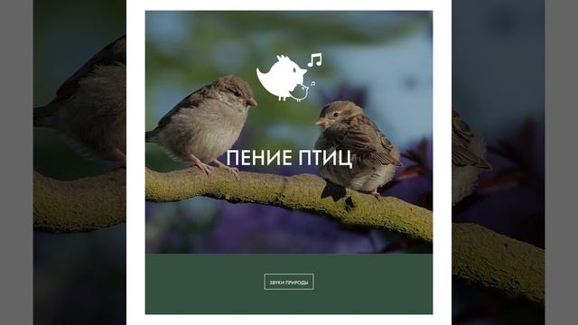 стрекотание сверчков