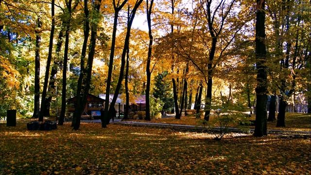 Калининград осенний смотреть онлайн