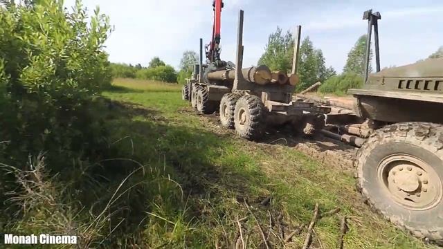 Гермес и лес. Как в нашей необъятной стране таскают не законно древисину на лево и на право смотреть онлайн