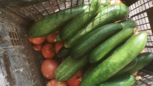 Утро начинается.... обычно