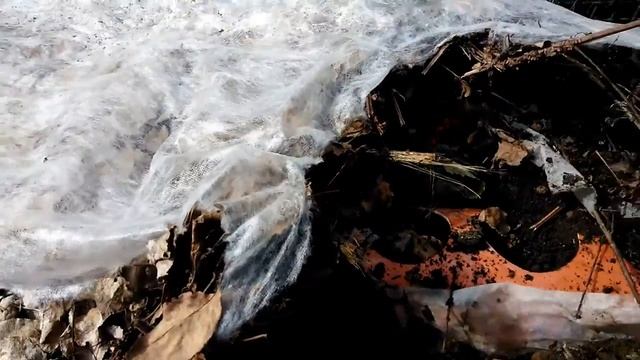 Клубника в трубах после зимы.mp4 смотреть онлайн