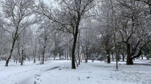 Крым засыпает снегом, хотя зима уже закончилась. Почти прямо эфир. Джанкой сегодня