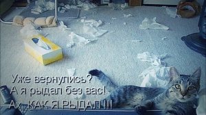 Малышовское детство . и другие животные