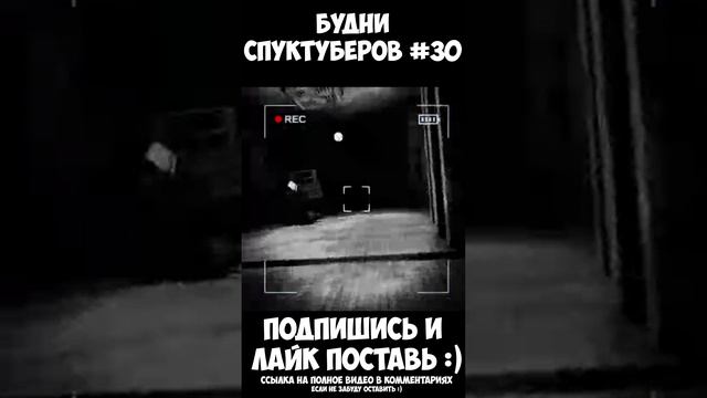 Будни спуктуберов #30 | Content Warning #contentwarning #gaming #игры #будни #games #game