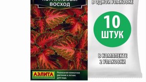 Семена Колеус блюме Коралловый восход