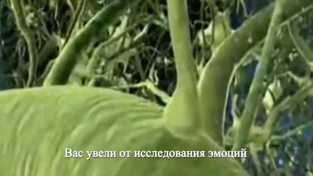 Послание с Плеяд: Зов к Пробуждению Семье Света смотреть онлайн