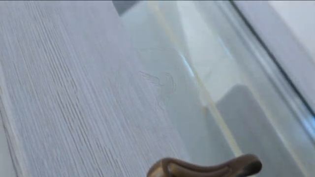 Двухстворчатая металлическая дверь со стеклом смотреть онлайн