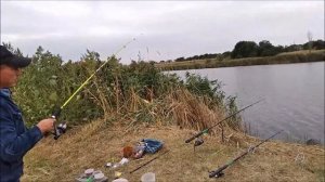 Снасть убийца карася. Охота на Карпа и Сазана.