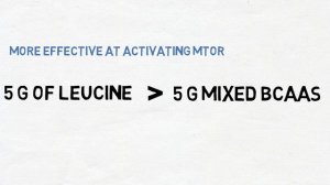 L-LEUCINE BENEFITS - WHAT DOES LEUCINE DO?