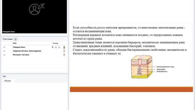 Заживление ран по вторичному натяжению у животных. смотреть онлайн