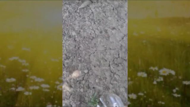 Разбитая кружка в замедленном кадре! смотреть онлайн