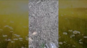 Разбитая кружка в замедленном кадре!