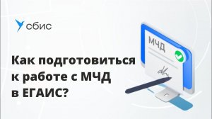 Как оформить МЧД для работы с ЕГАИС  подробная инструкция Saby