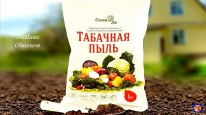 ОБСЫПЬ СМОРОДИНУ ПРОСТОЙ НАТУРАЛЬНОЙ СМЕСЬЮ.ВСЕ ВРЕДИТЕЛИ ТОЧНО ПОГИБНУТ.ЯГОДА СТАНЕТ ОЧЕНЬ КРУПНОЙ