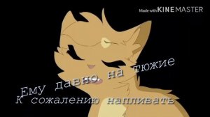 Ты плачешь? Снова / Коты Воители