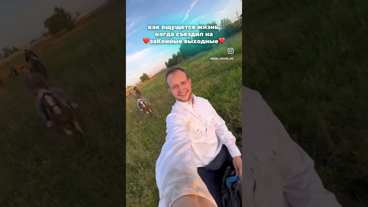 красота на ЗаКонных выходных) #horse #лошади #верховаяезда
