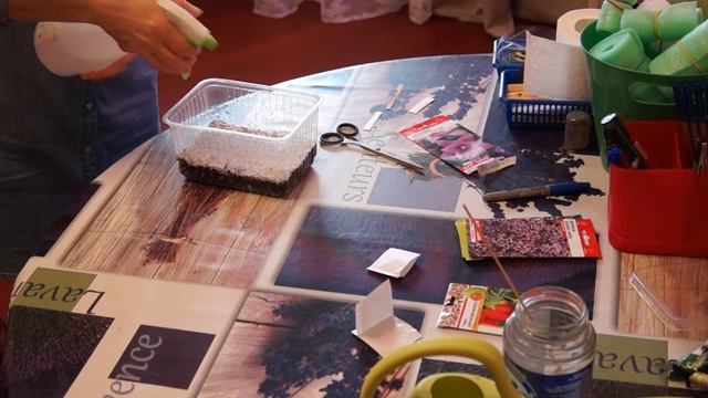 Сеем ЯГОДЫ ГОДЖИ, ПЛАТИКОДОН, ВЕРБЕНУ Часть 1 смотреть онлайн