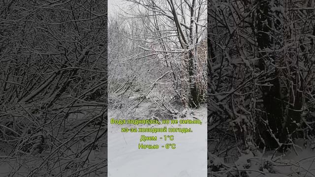 Ледоход2013 #весна2023 #весна #ледоход #зимауходи #хочулето #мамавдекрете