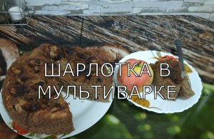 Шарлотка с яблоками в мультиварке. Любимый, вкусный пирог всей семьи.