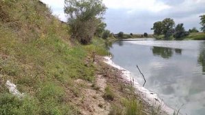 Нижне гнутов речка цимла 2021г.