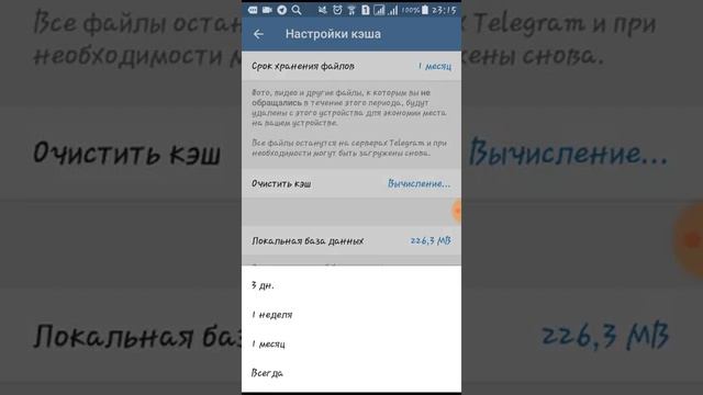 Как почистить кеш в телеграмм. Срок хранения файлов