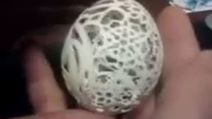 резьба по куриной скорлупе 4