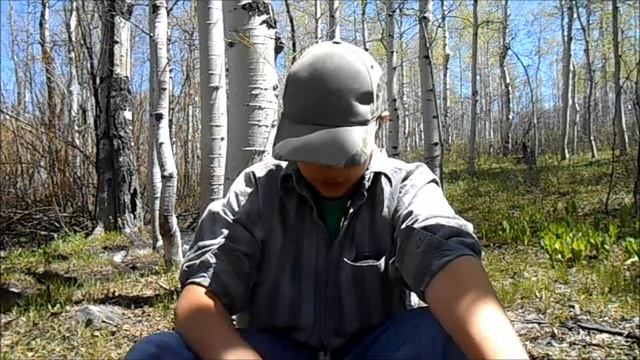 Dont Litter! смотреть онлайн