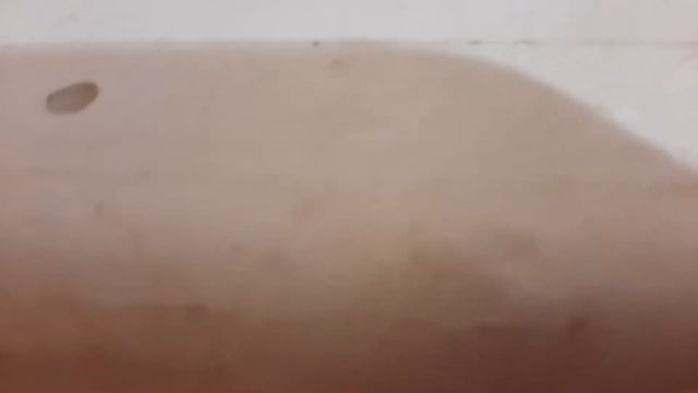 ?мы хотим увидеть Белый Свет- пришла очередь гусят... 13.04.2021 смотреть онлайн