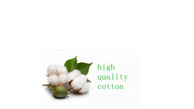 ? 8 Best Laptop Sleeves in Singapore смотреть онлайн