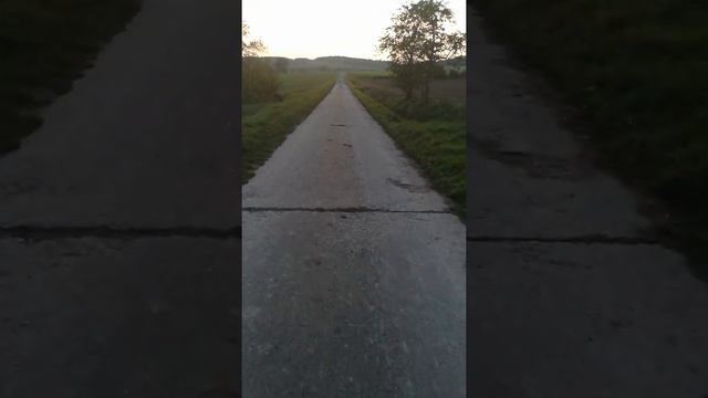 Прогулка вечером с Никой,мой любимый Ваймаранер смотреть онлайн