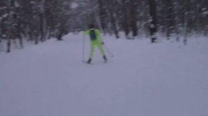 "Коньковый попеременный ход"