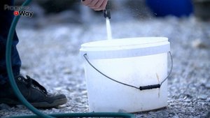 ЦЕЛЕБНАЯ ЗАМАЗКА ДЛЯ ДЕРЕВА! Заделываем ДУПЛО!