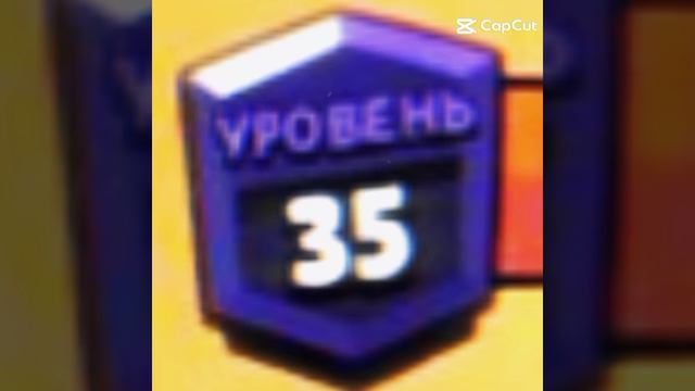 Честер топ