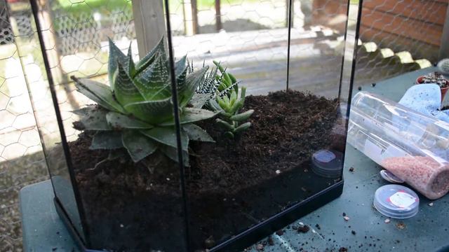 🌵 Crystal Terrarium | How To Make An Easy Bedroom Decor Idea | Simple DIY & Craft Tutorial смотреть онлайн