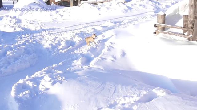 Опять -32 /Лайки Олега #11/ смотреть онлайн