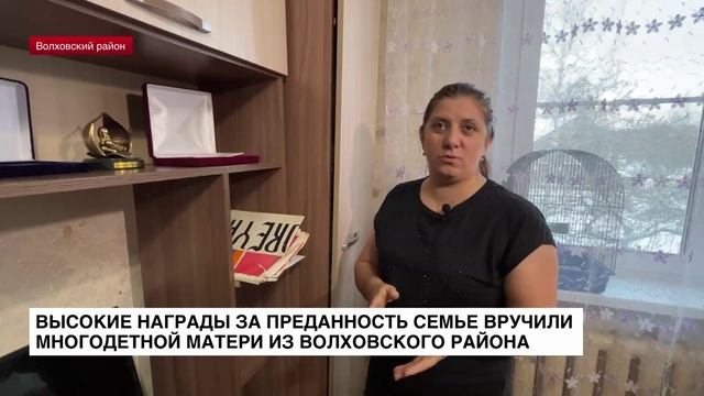 Высокие награды за преданность семье вручили многодетной матери из Волховского района